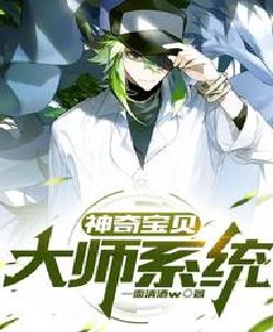 神奇宝贝：大师系统